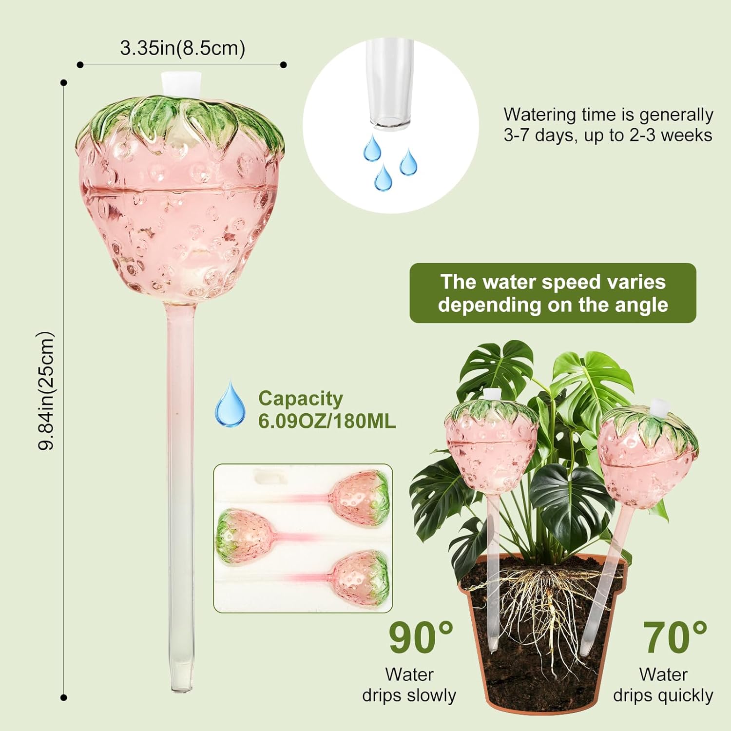 Strawberry Plant Watering Globes