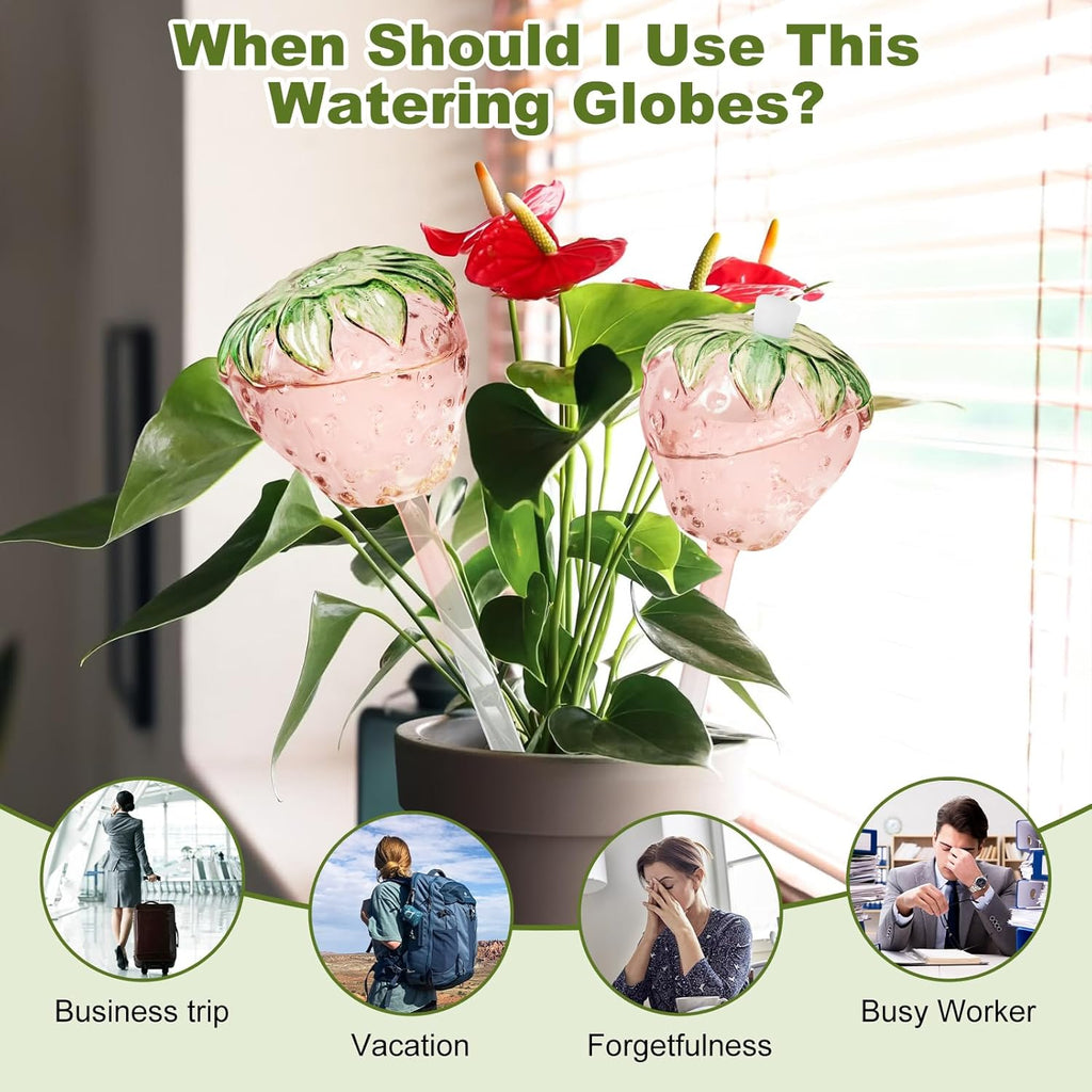 Strawberry Plant Watering Globes