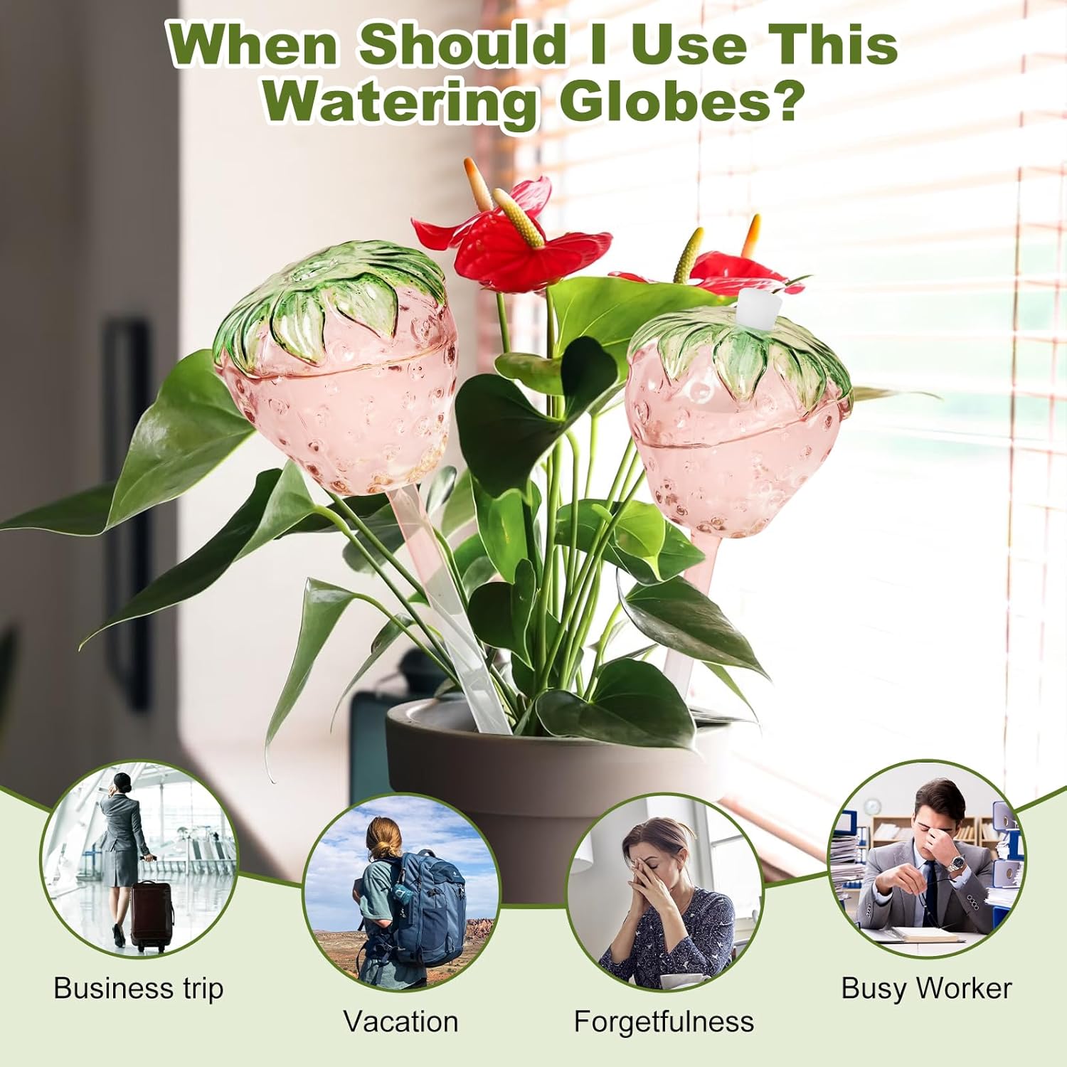 Strawberry Plant Watering Globes