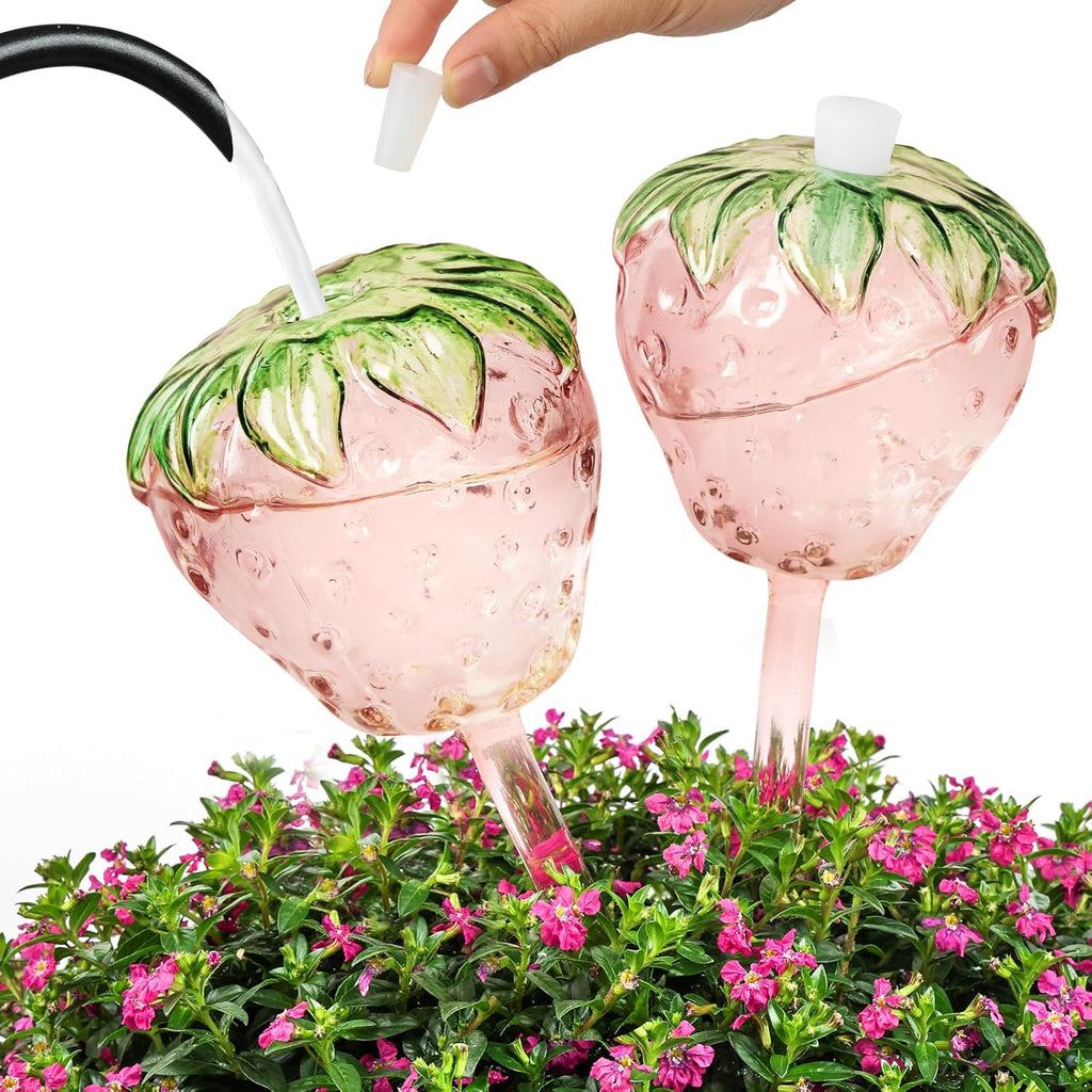 Strawberry Plant Watering Globes