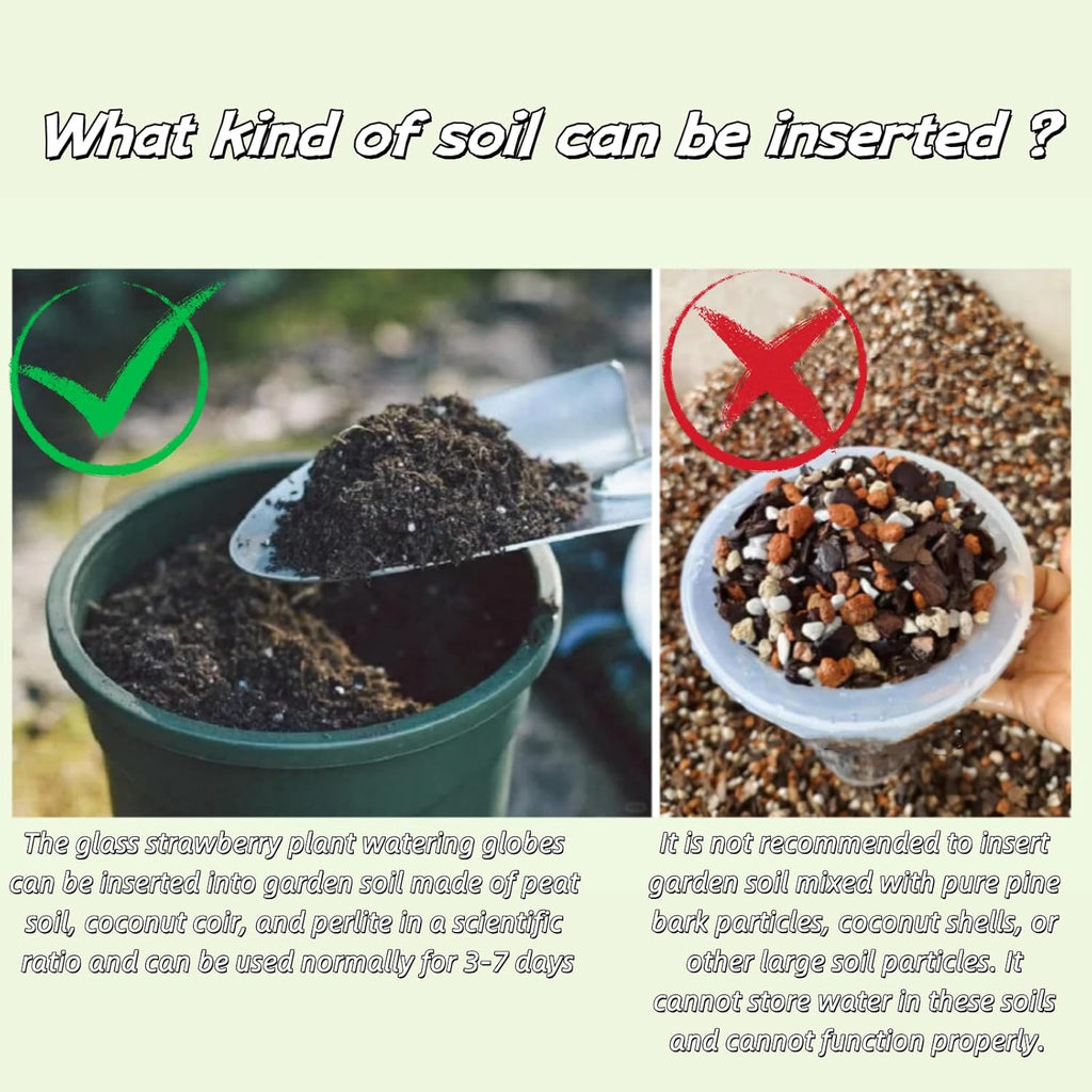 Strawberry Plant Watering Globes