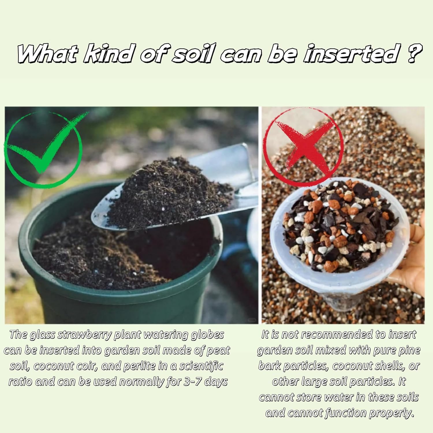 Strawberry Plant Watering Globes