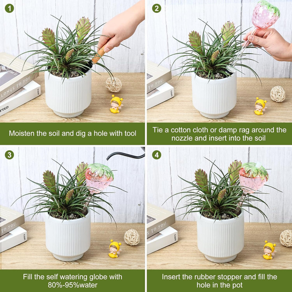 Strawberry Plant Watering Globes