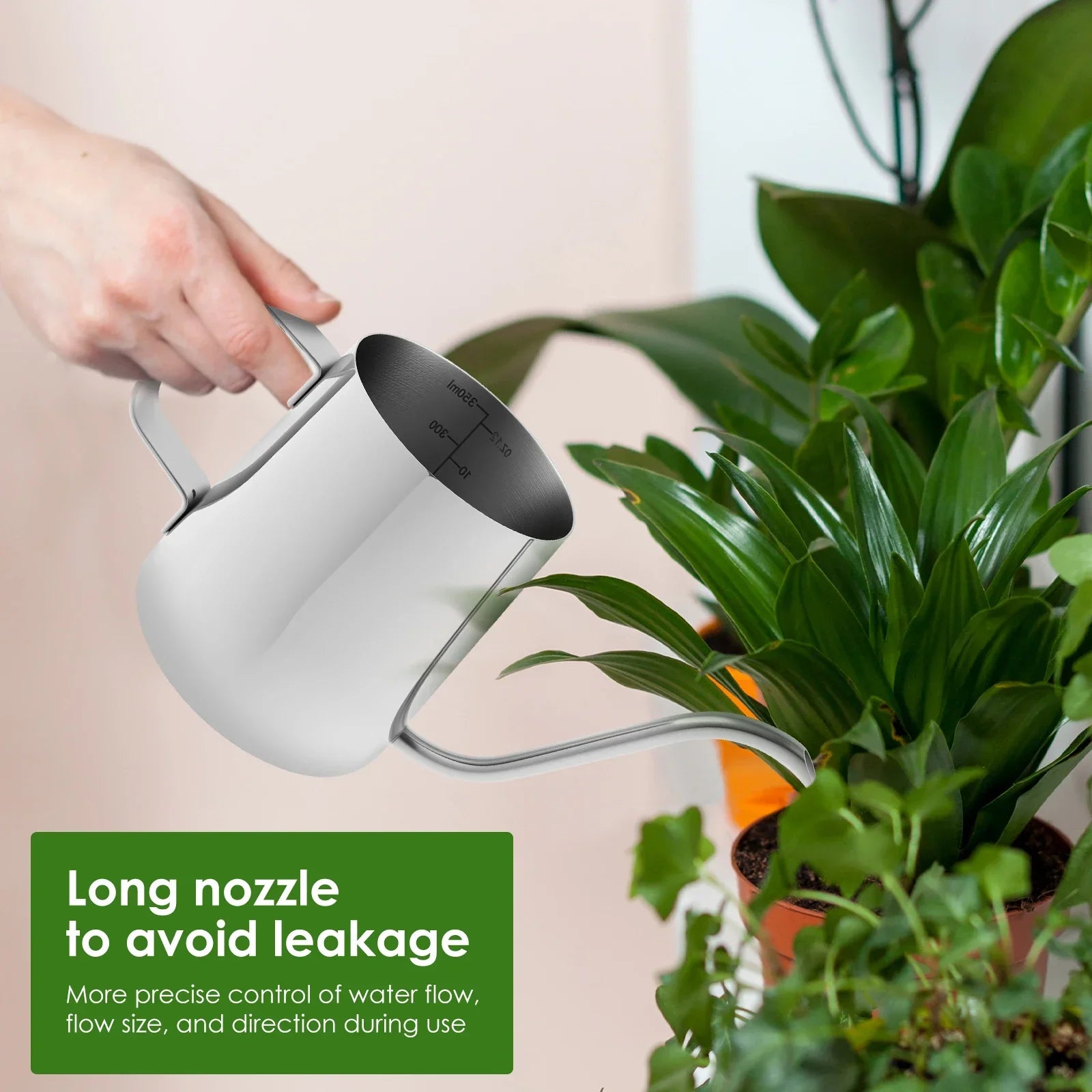 Elegant Watering Can for Plants